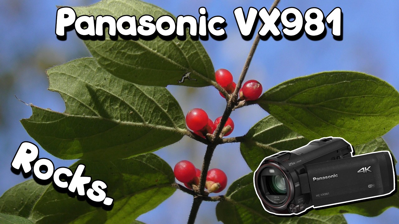 Panasonic VX981 — моя камера на YouTube | (МНОГО примеров видео!) | Лучшая видеокамера для начина...