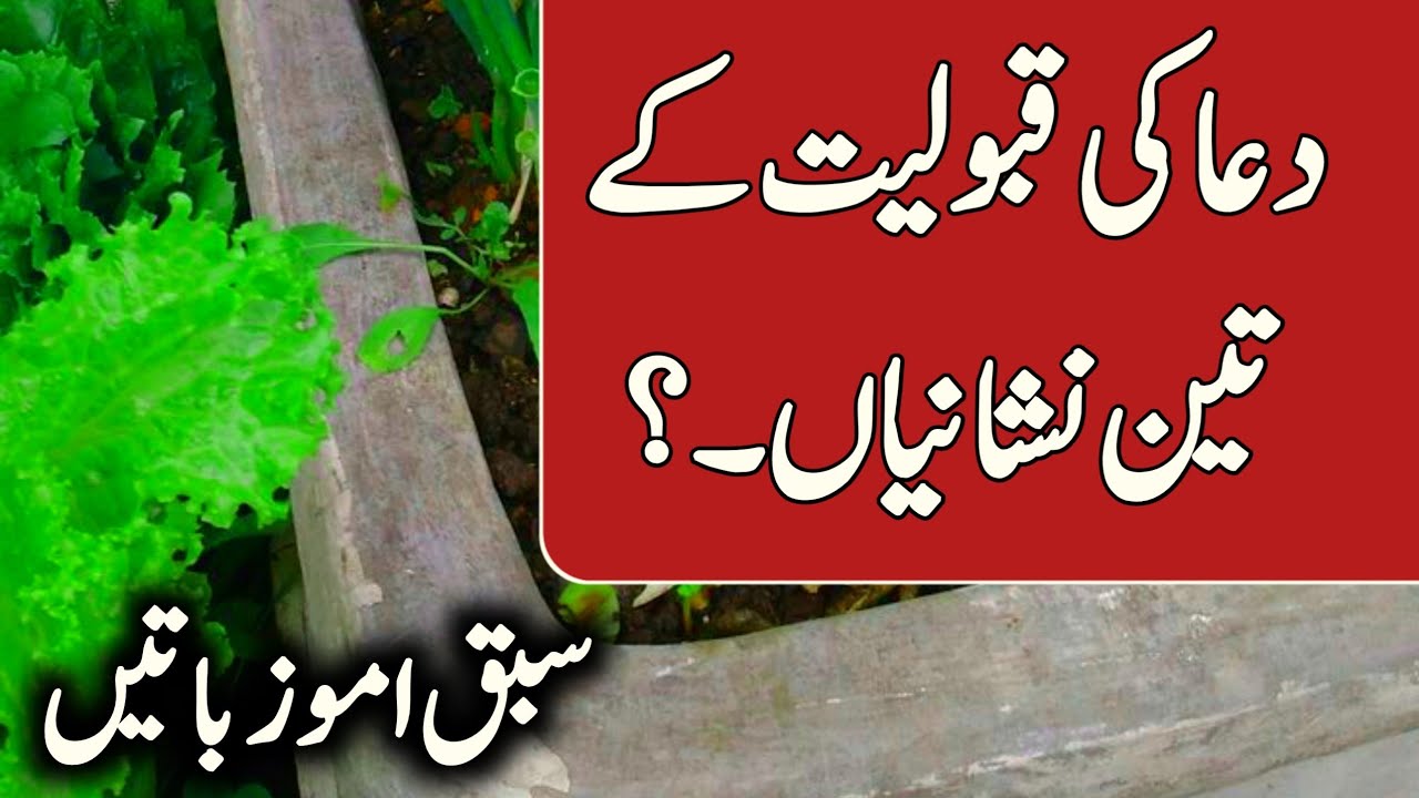 Dua ki qabool yaad Ki teen sabse acchi nishaniyan | Aqwal e zareen Urdu Qoutes 
