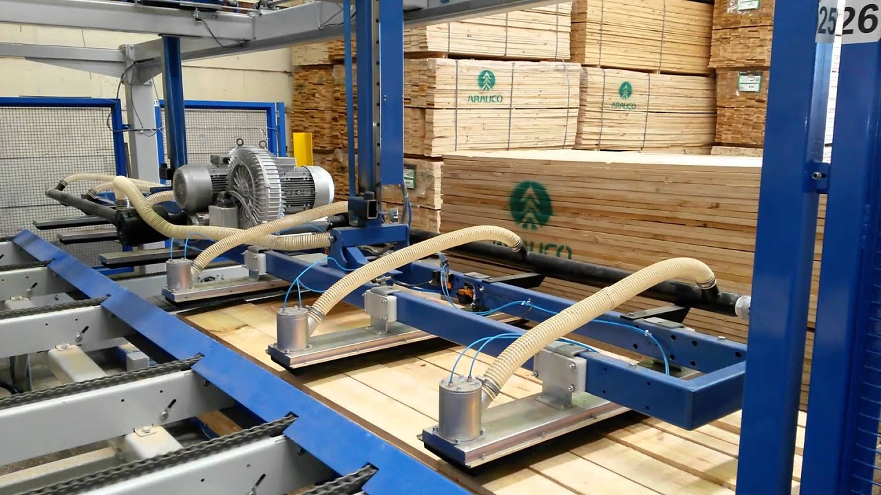 Vacuum Lifter with Moulder Infeed