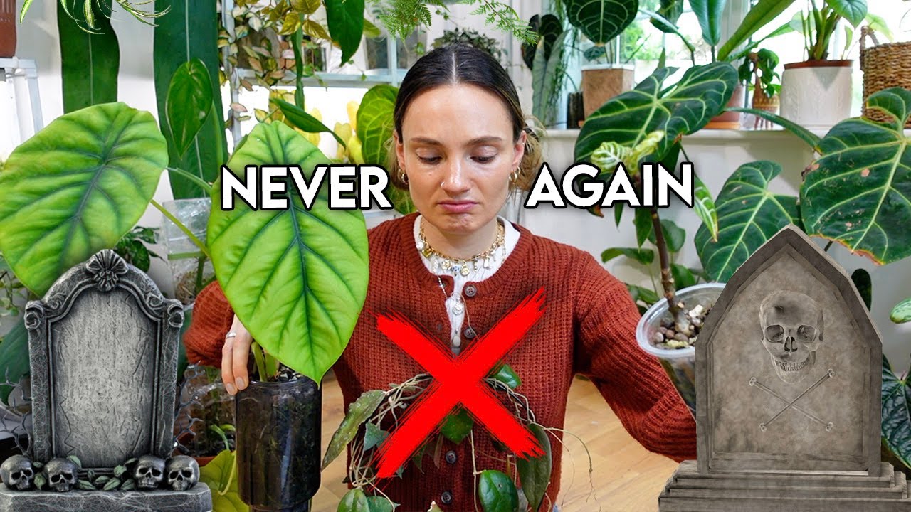 Plants I'll NEVER Buy Again 😬