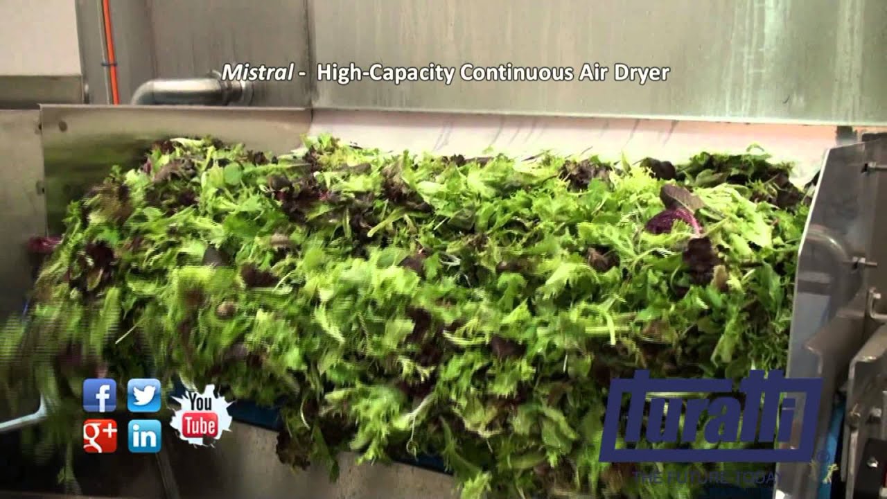 Salad Air Drying System designed for high-capacity  by Turatti