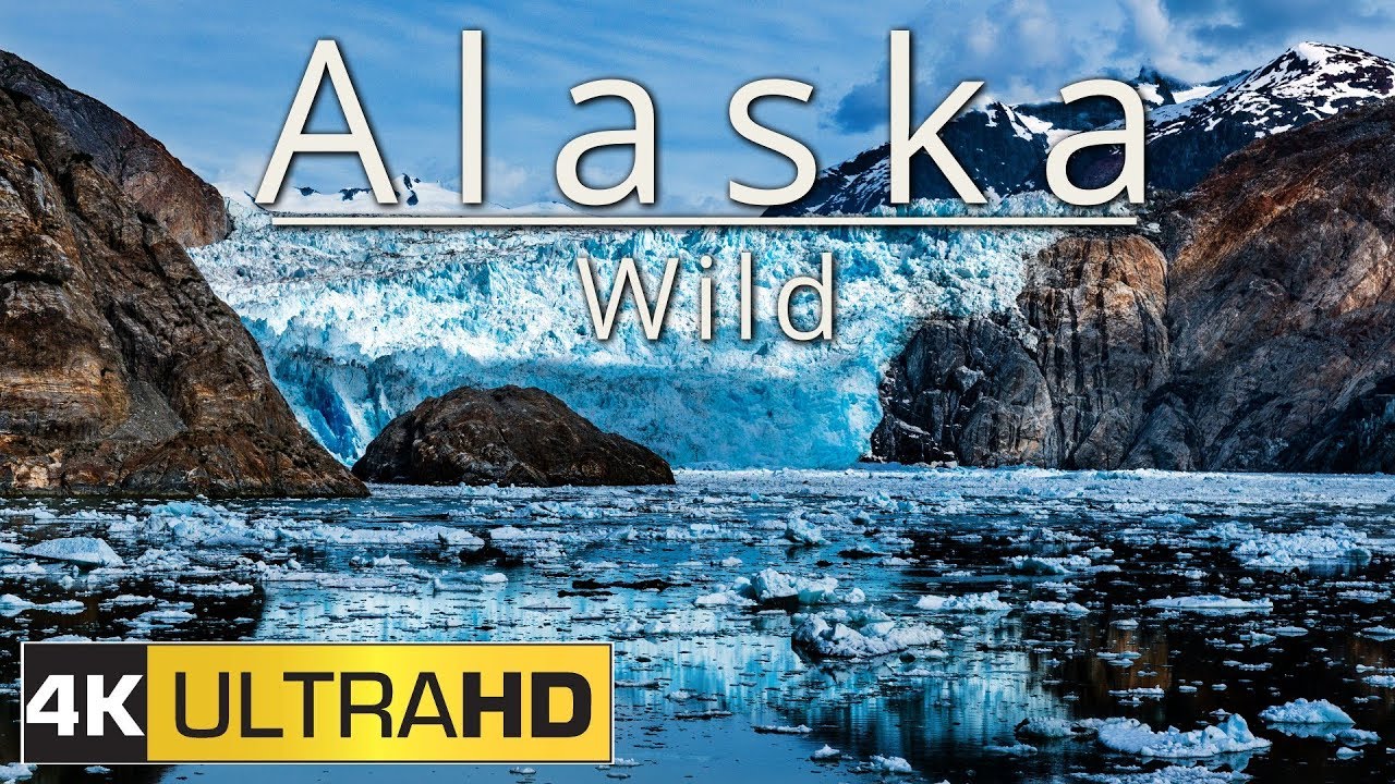Alaska: Wild (4K Aerial & Timelapse Edit)