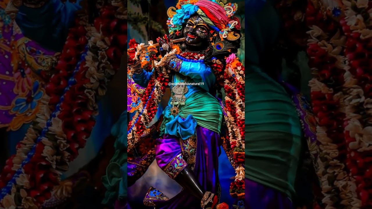 Krishna 🥀🌹💕🦚❤️ #krishna #krishnastatus #krishnalove #trendingshorts #viralshorts #shortsfeed #shorts