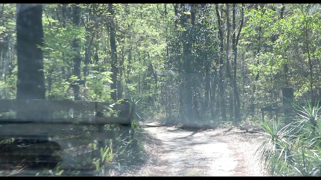 Old Stage Road Gainesville Florida