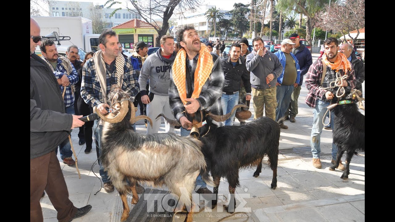 Politischios.gr: Πορεία κτηνοτρόφων της Χίου στην Απλωταριά