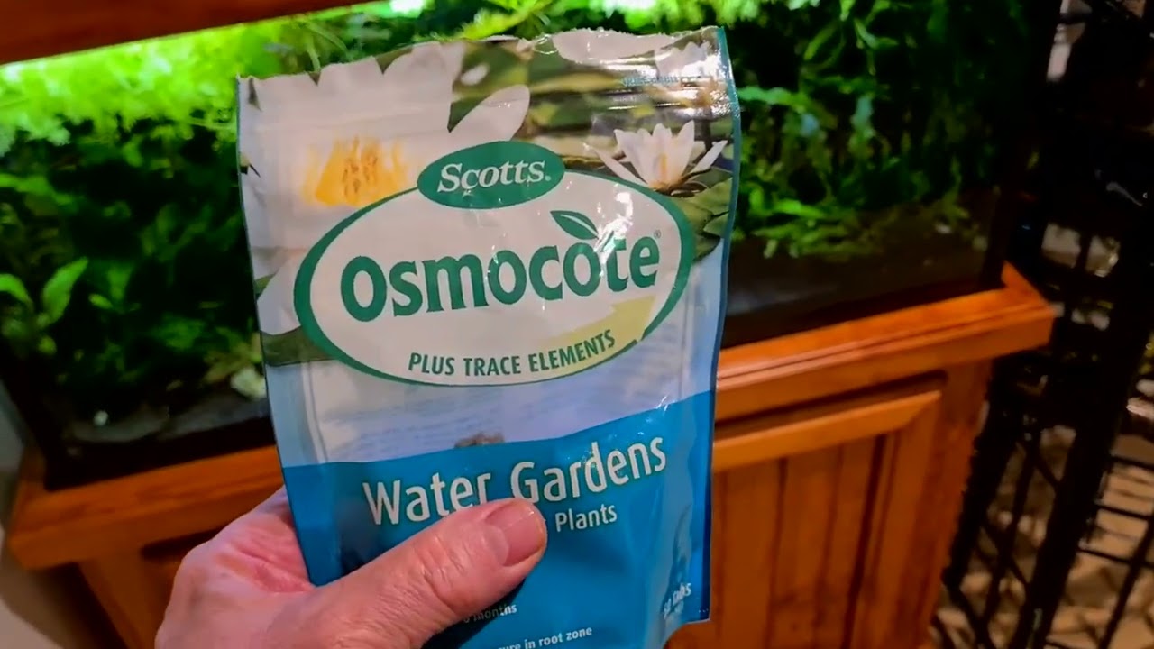 Aquarium OSMOCOTE Root Tabs | Do They Make them? Should you Use them?