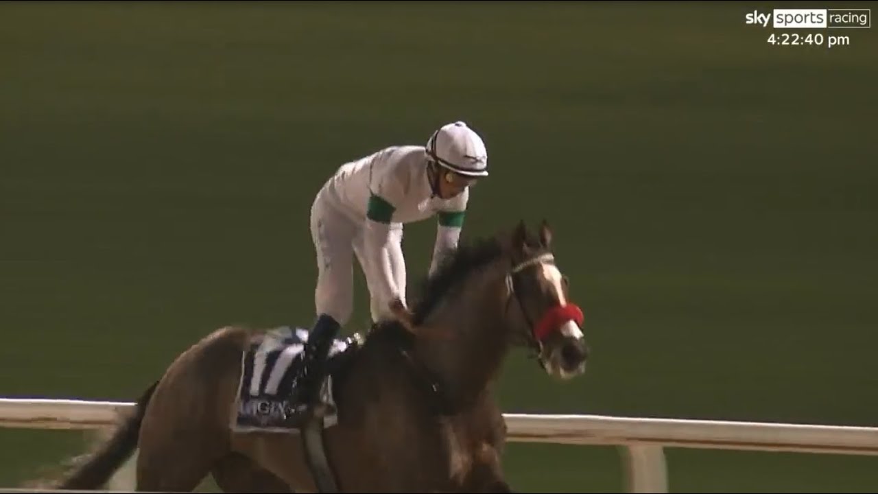 All class! Hot Rod Charlie sparkles in Meydan!