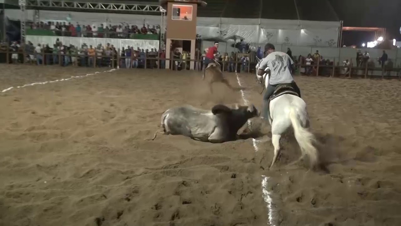 Vaquejada do Milhão 2018 - Categoria Profissional