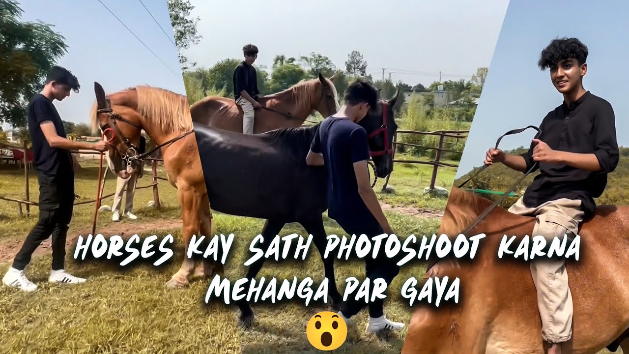 Photoshoot of Ehtesham Khan & Usman Raja with Horses | Syed Mukkaram | Photography in Islamabad
