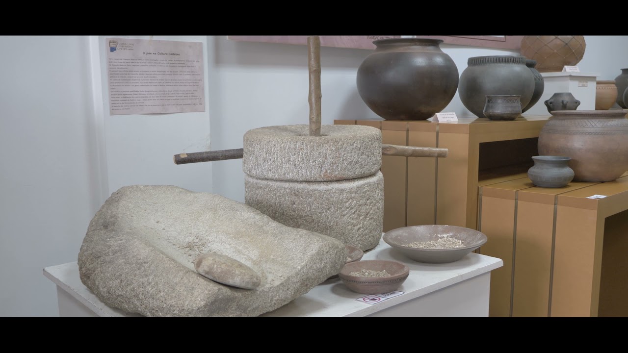 CUNTIS. UN BA&Ntilde;O DE HISTORIA. UN BA&Ntilde;O DE VIDA (ESPA&Ntilde;OL)