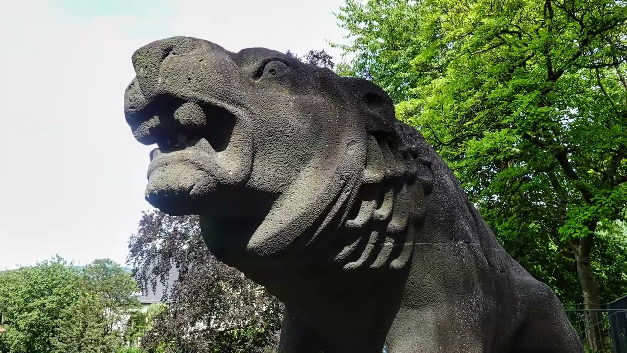 Sinzig im Sommer 2024