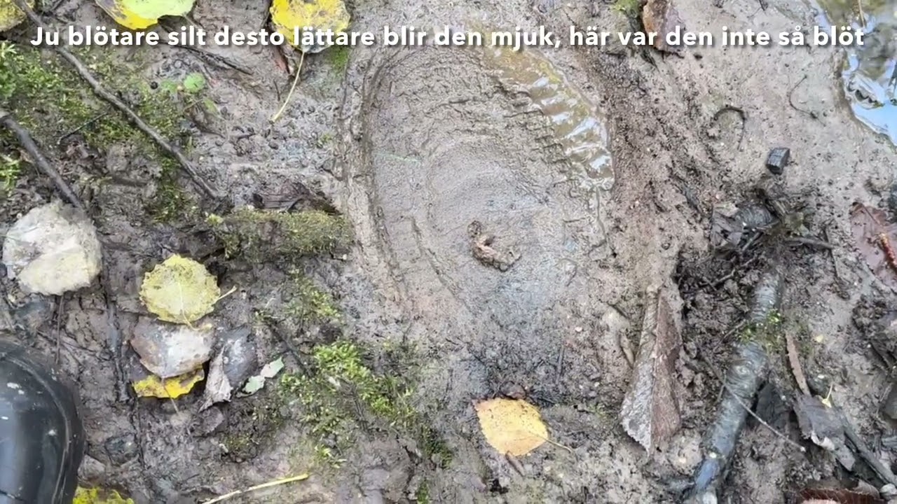 Geologi och risker i samhället. Ravindalen utvecklas vidare. GeologenMangemagister går ner i dalen!