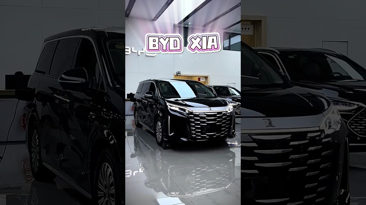BYD XIA