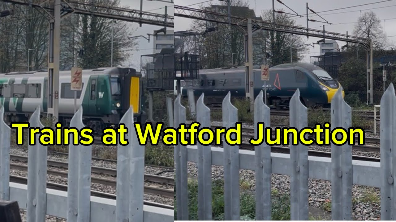 Trains at Watford Junction 15/11/25 