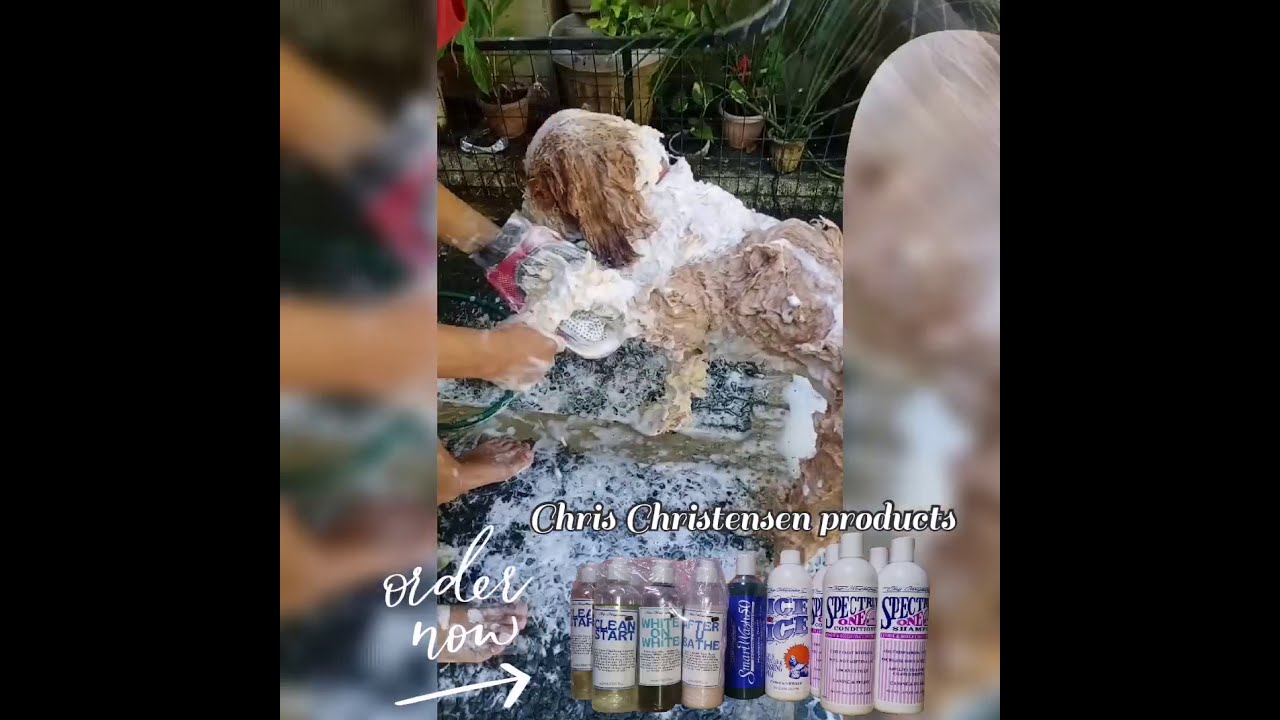 Using chris Christensen products