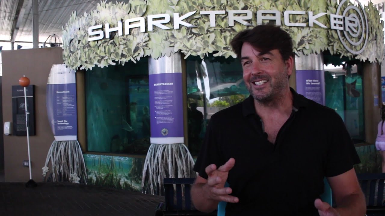 Sharks, Rays, and Skates with Dr. Demian Chapman of Mote Marine Laboratory!