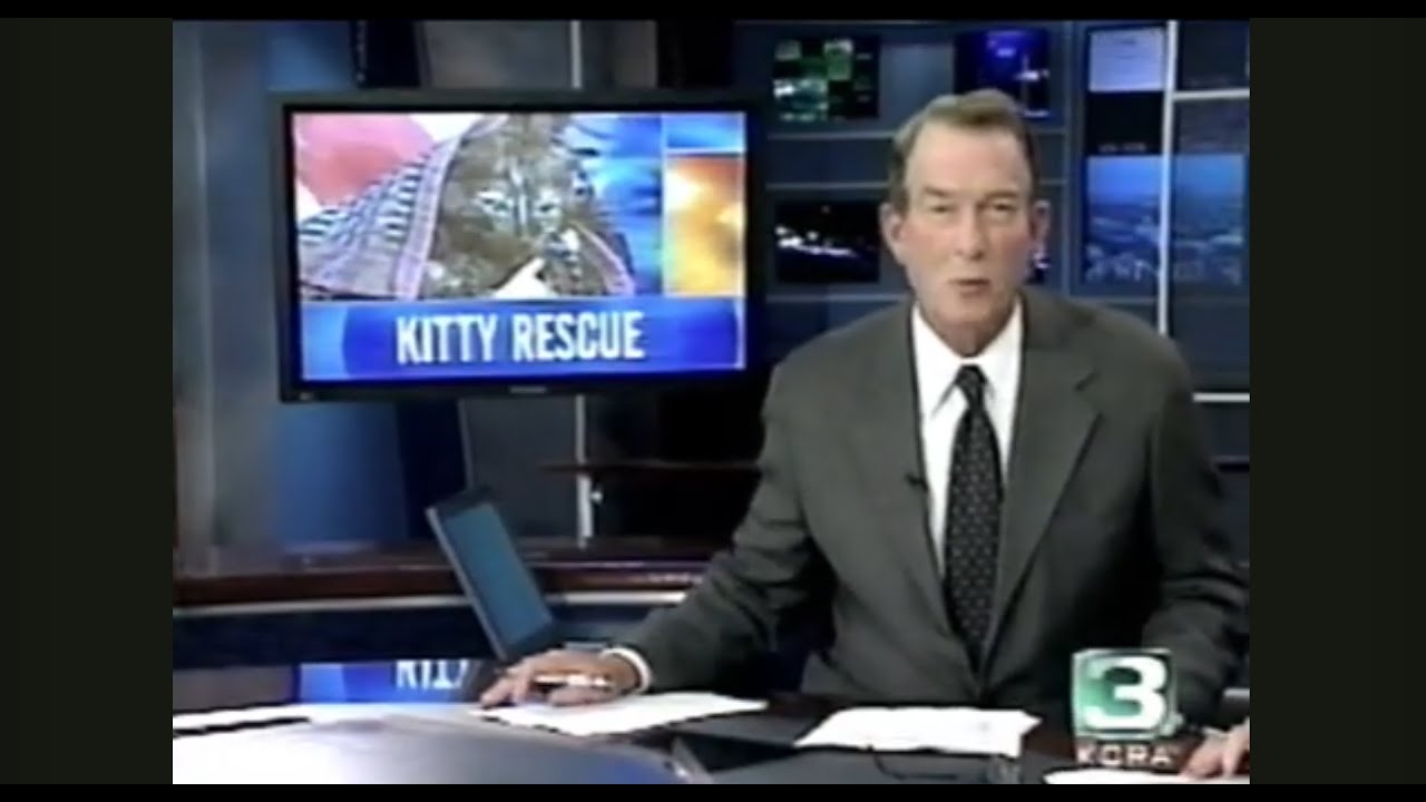 Roto-Rooter 1993 Kitten Rescue | Sacramento, California
