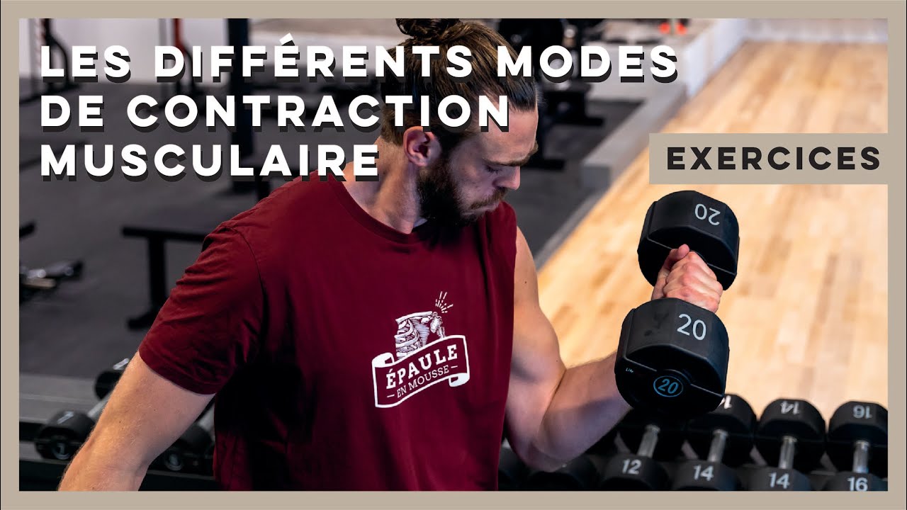Comprendre les différents modes de contraction musculaire : concentrique, isométrique et excentrique