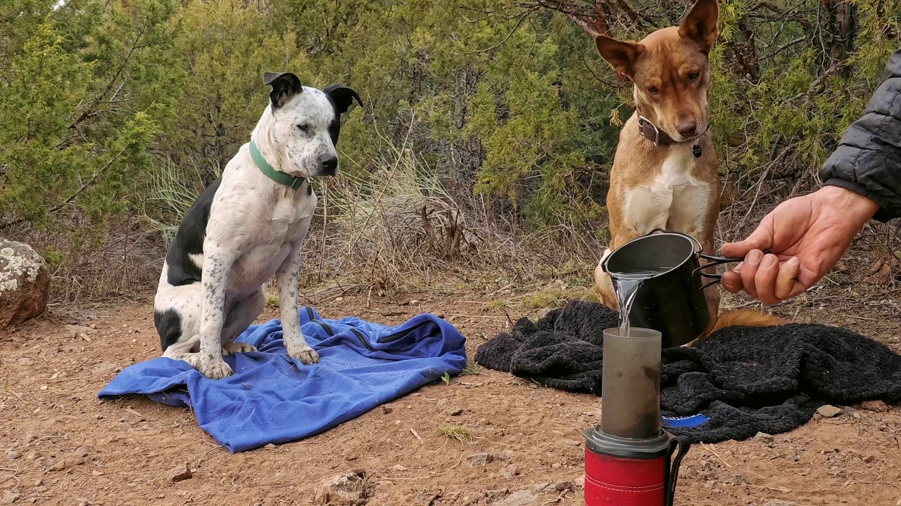 Bushwhacking Backpacking Wilderness Pack Goat & Dogs Camping Firebox Stove Campfire Cooking & Baking