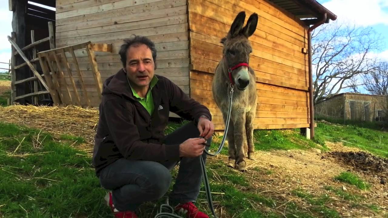 Corso Onoattività