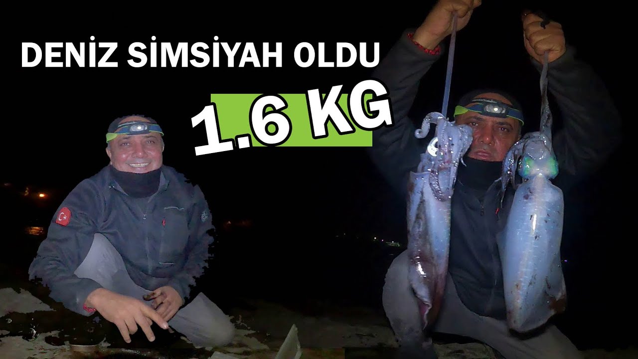 B&Uuml;Y&Uuml;K KALAMARLARIN PEŞİNDE KAYADAN D&Uuml;ŞT&Uuml;M....