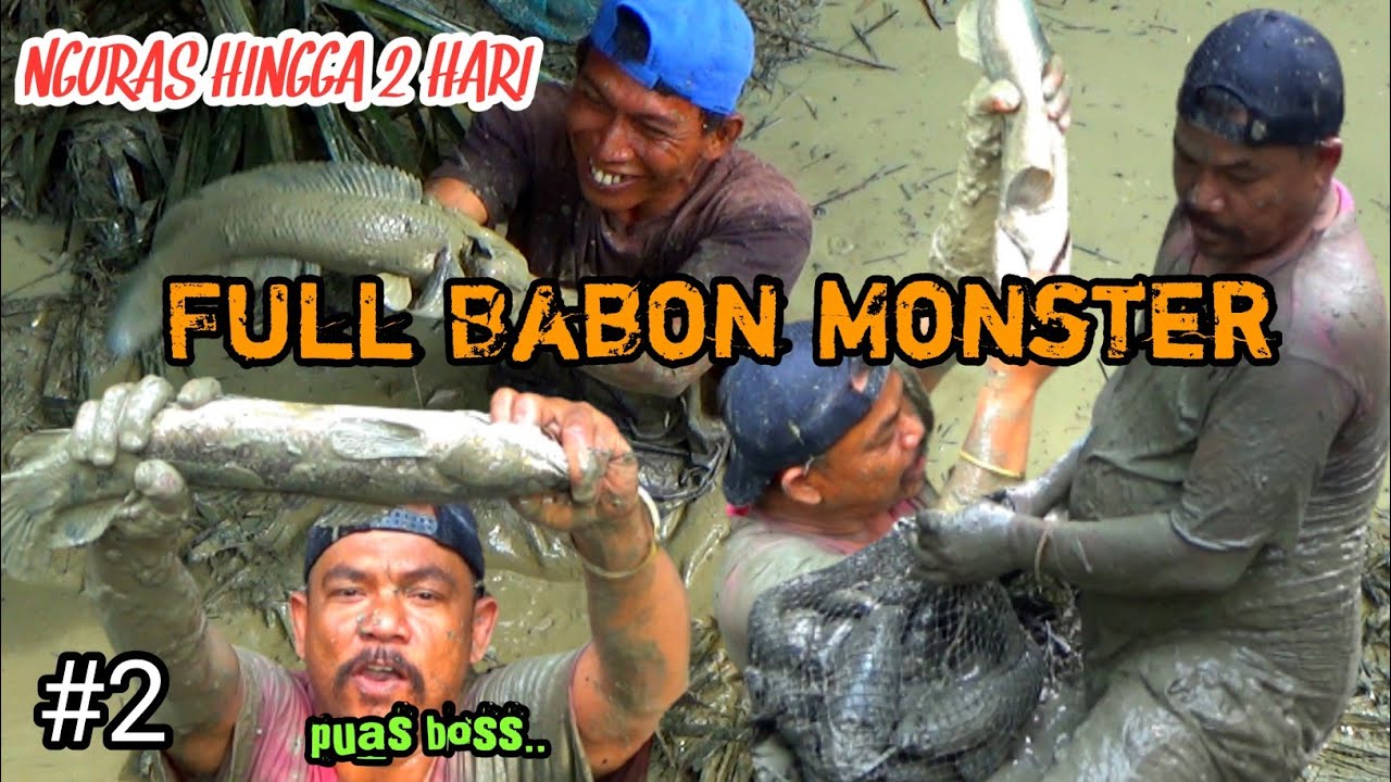 EDAN..!! NGURAS HINGGA 2 HARI HASILNYA FULL BABON MONSTER