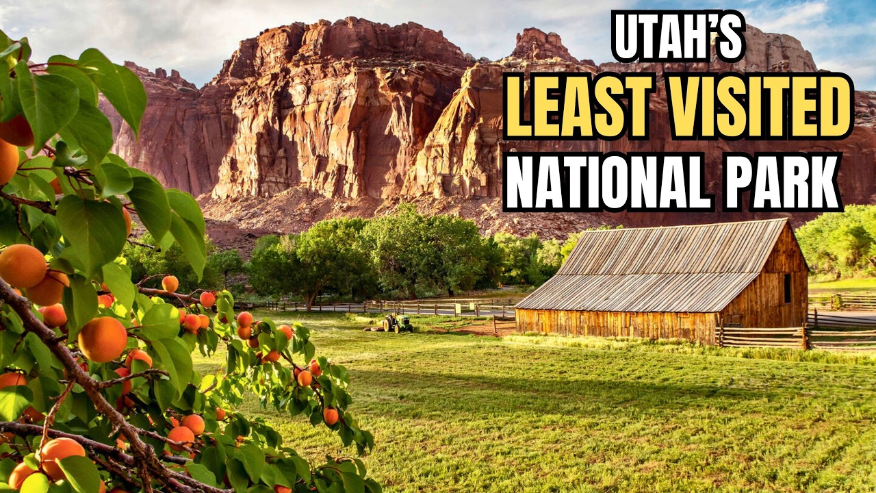 Capitol Reef National Park: An Oasis in the Desert