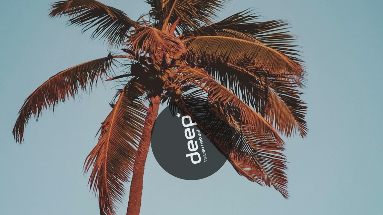 Summer Calling Deep House 2025 - Unvibe