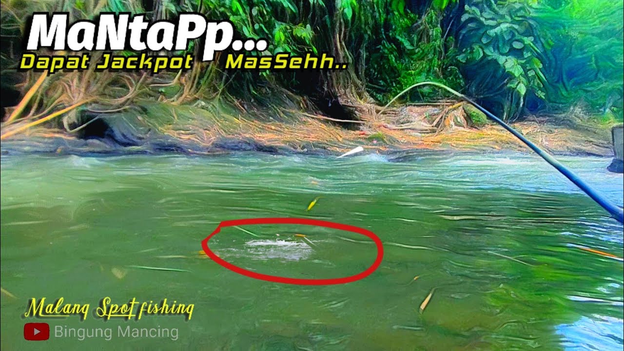 Spot Mancing Sungai Kedungboto !!
