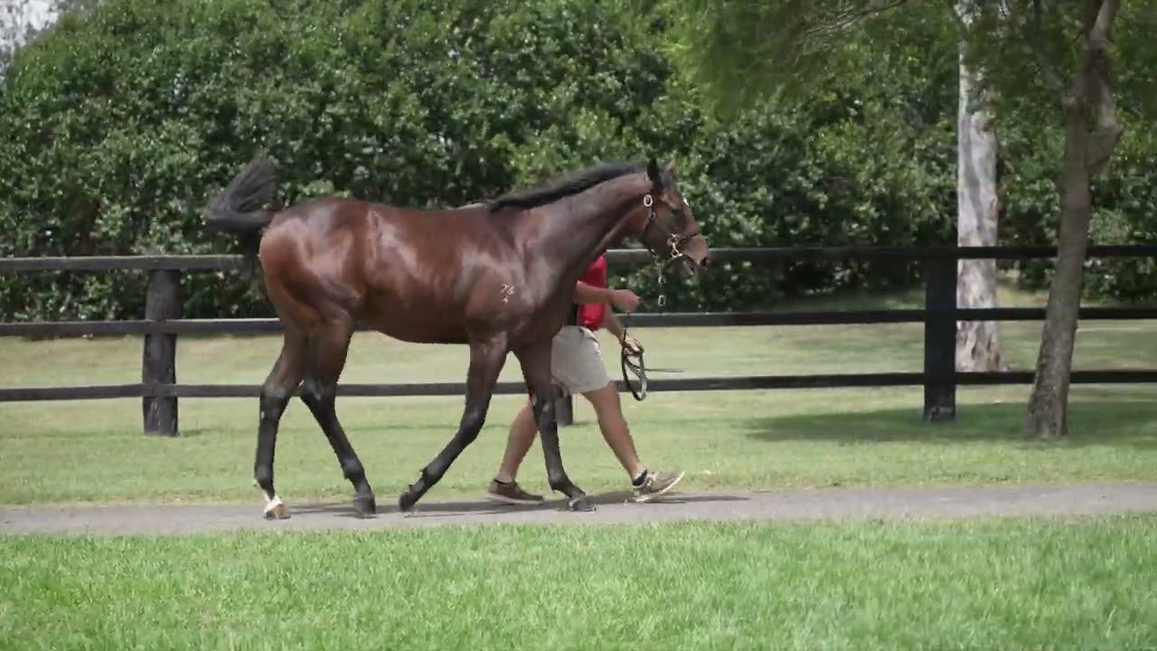 Lot 222