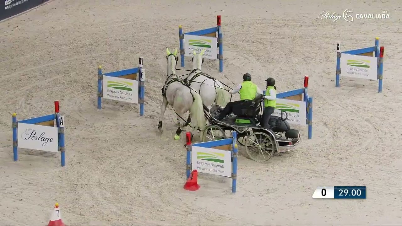 Rafał Paszyński   Cavaliada Łódź  – 31 01 2026 II nawrót