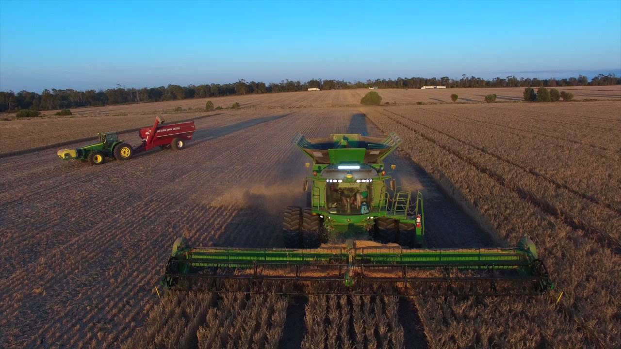 Australian Chick Pea Harvest 2015