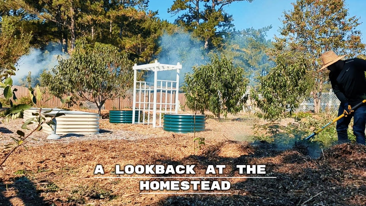 Permaculture Garden Homestead | Organic Farming in the Suburban Settings