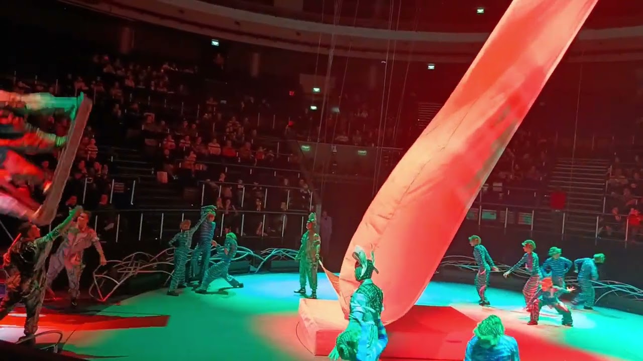 TASHIR ARENA 