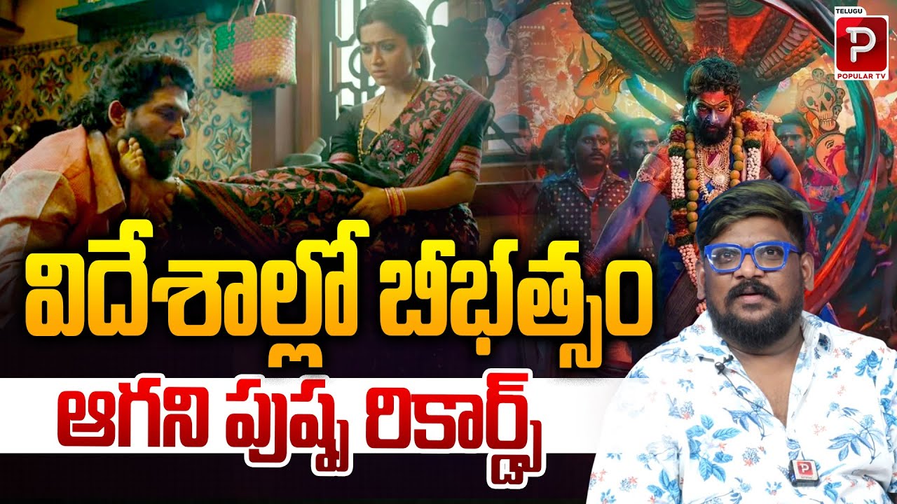 Allu Arjun Craze In Japan 🔥 Explained By Cine Critic Dasari Vignan | Tollywood | Telugu Popular TV
