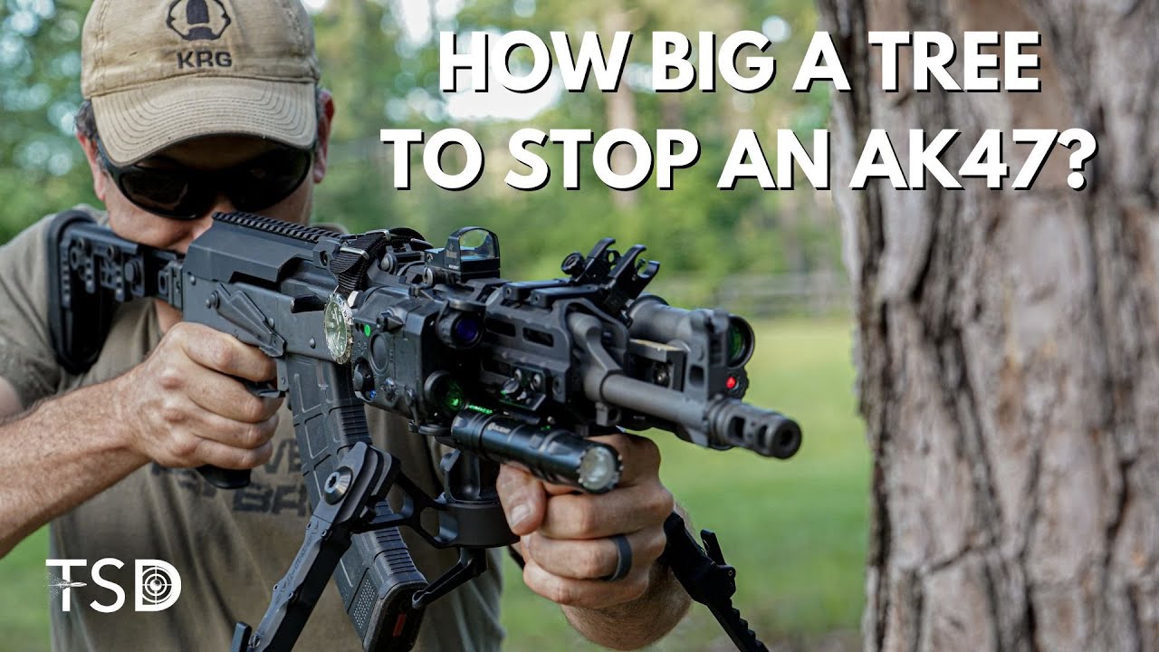 How big of a tree can an AK47 penetrate??? Cover vs concealment