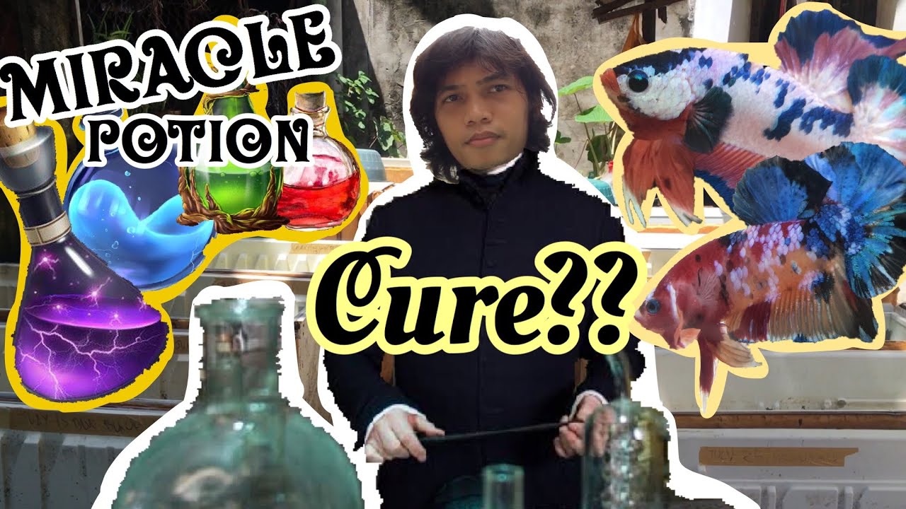 DIY Miracle Potion for betta fish | Cure for all external parasites/illnesses of your Betta