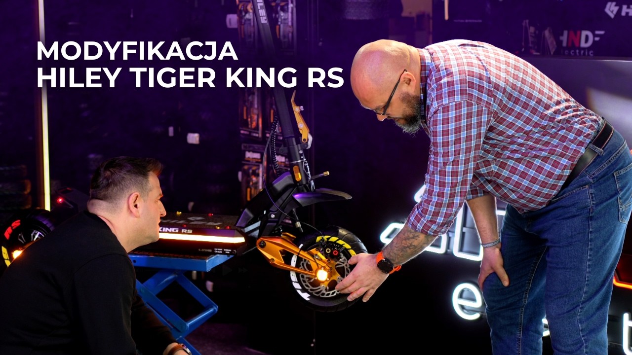Zmodyfikowany Hiley Tiger KING RS ⚡| HND x BigSlaw79