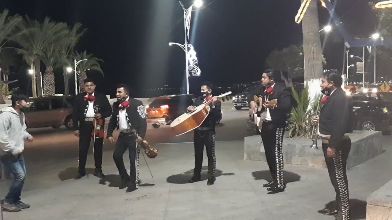 EL MONO DE ALAMBRE, QUE CHING$N A SU MADRE / CON MARIACHI