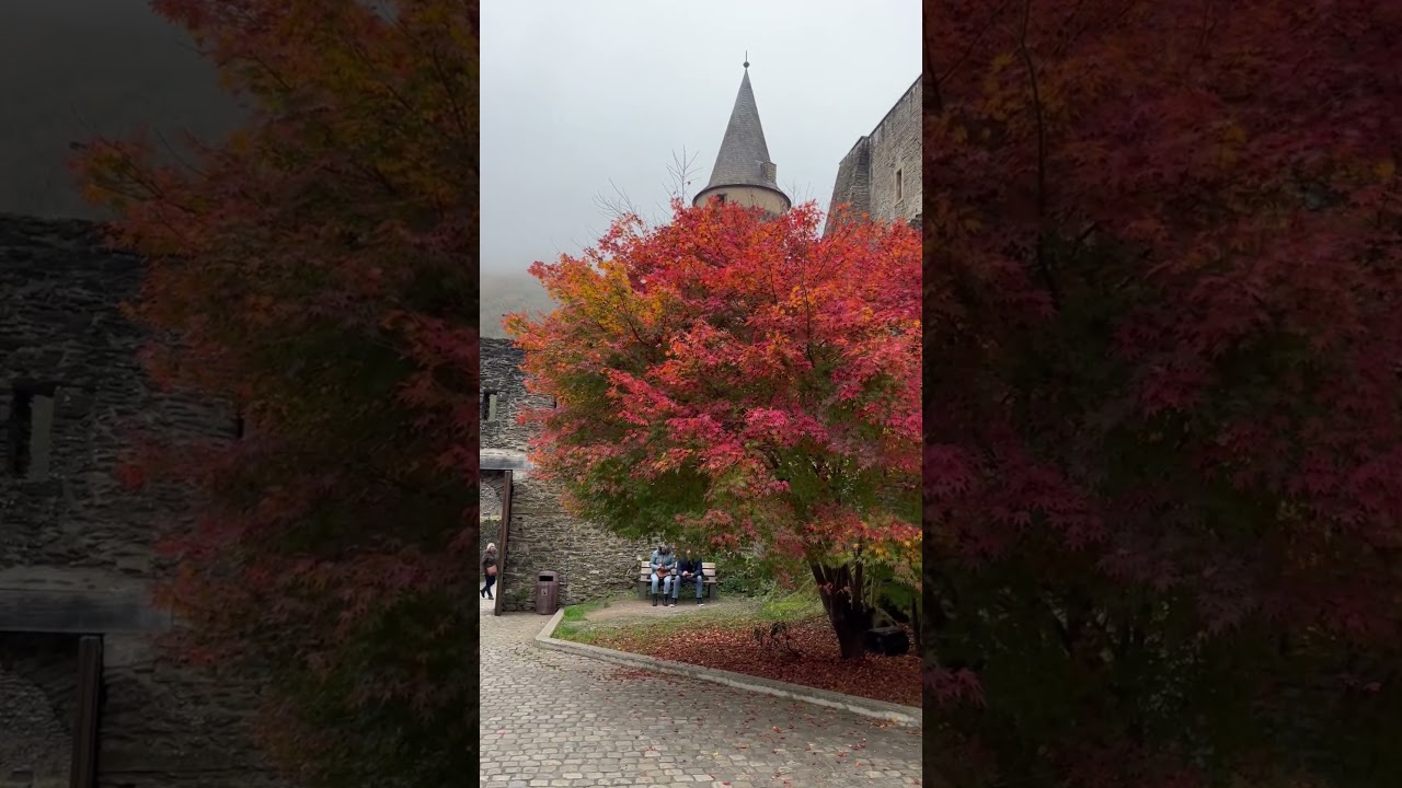 📍Vianden 🏰, Luxembourg 🇱🇺 #luxembourg #vianden #castle