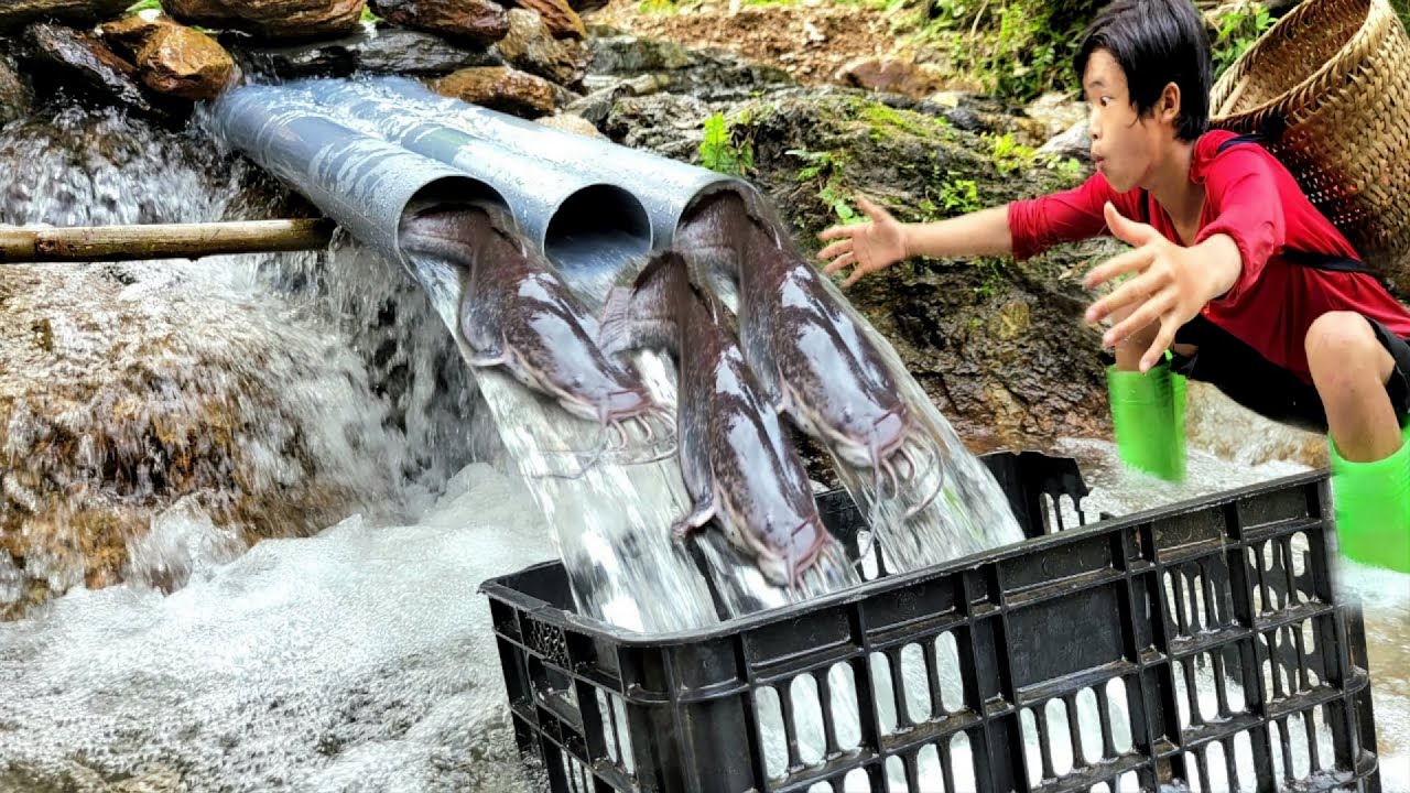 Full video 120 days boy makes fish trap with plastic pipe and many other methods.