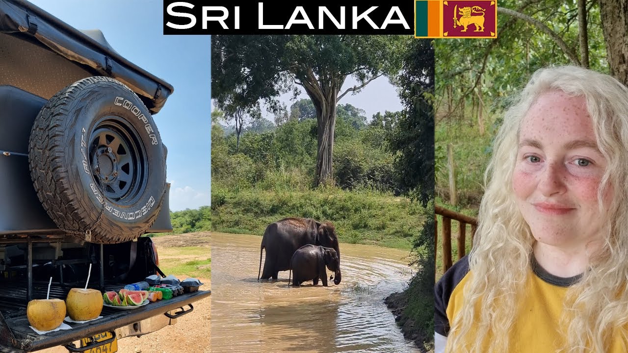 JOIN US ON OUR AMAZING ELEPHANT SAFARI IN SRI LANKA
