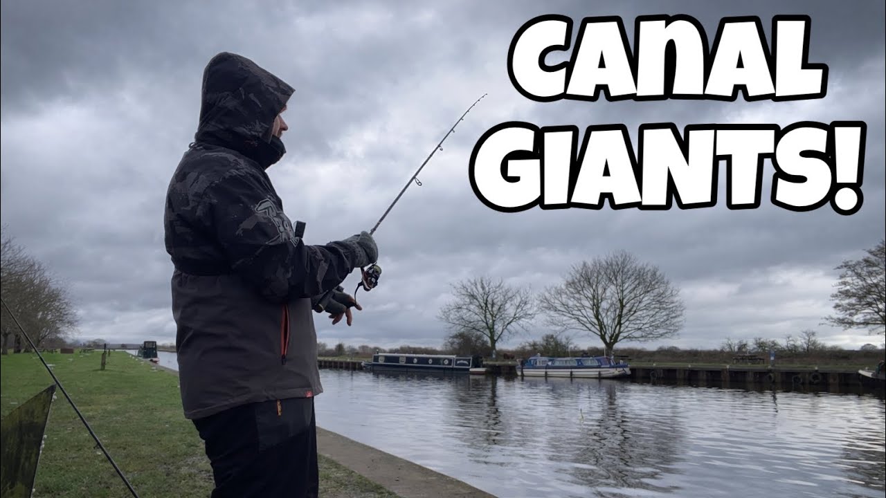 This Lock Holds GIANT Perch!