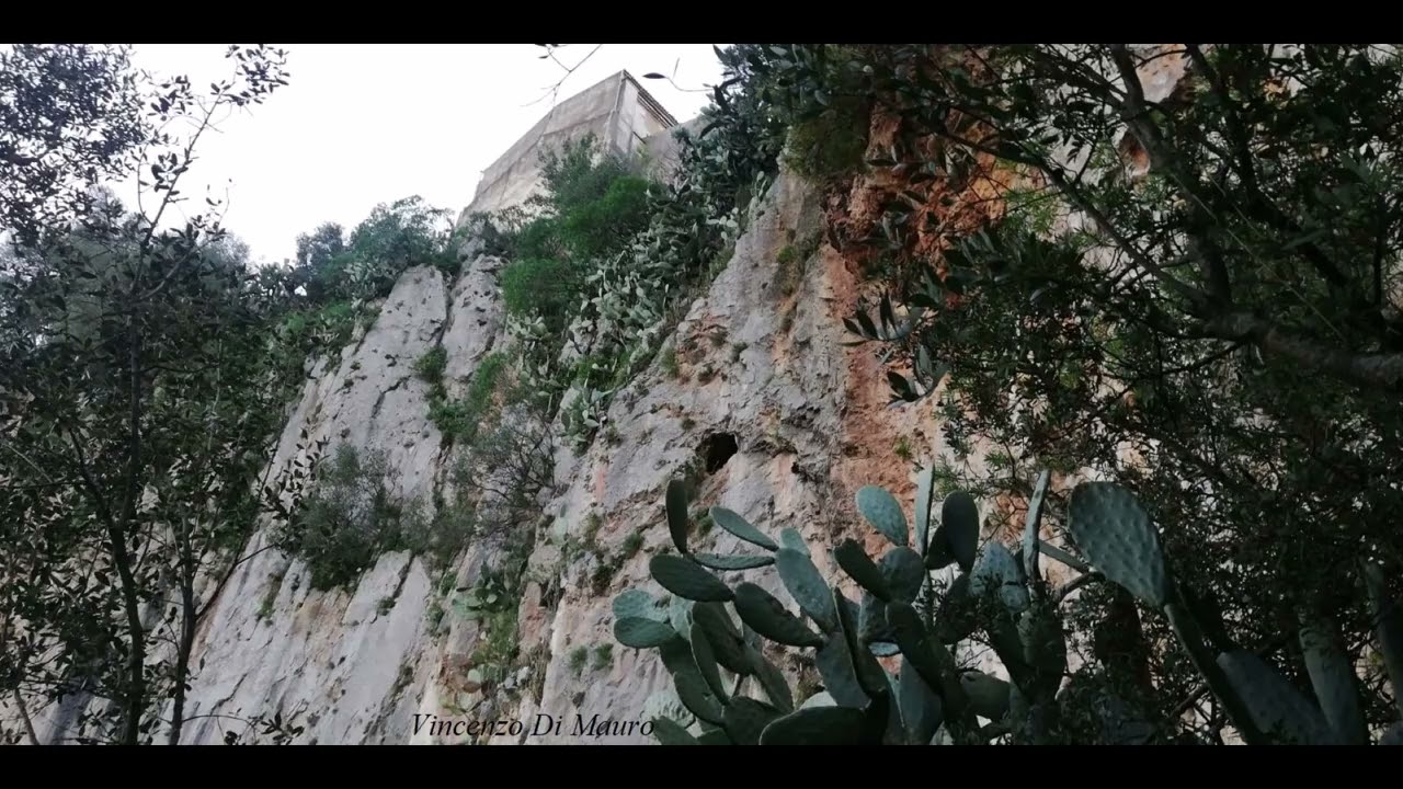 Cristo risusciti