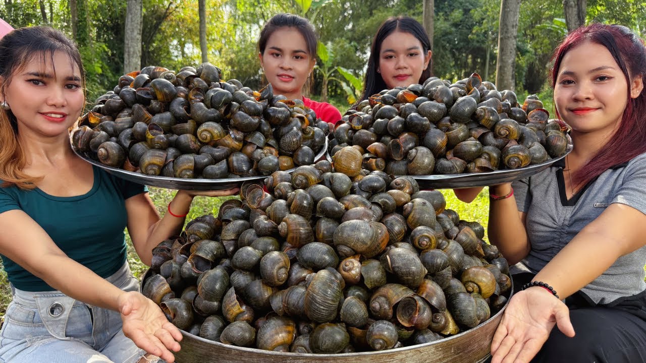 How to cook and wash snail with fresh egg in my village