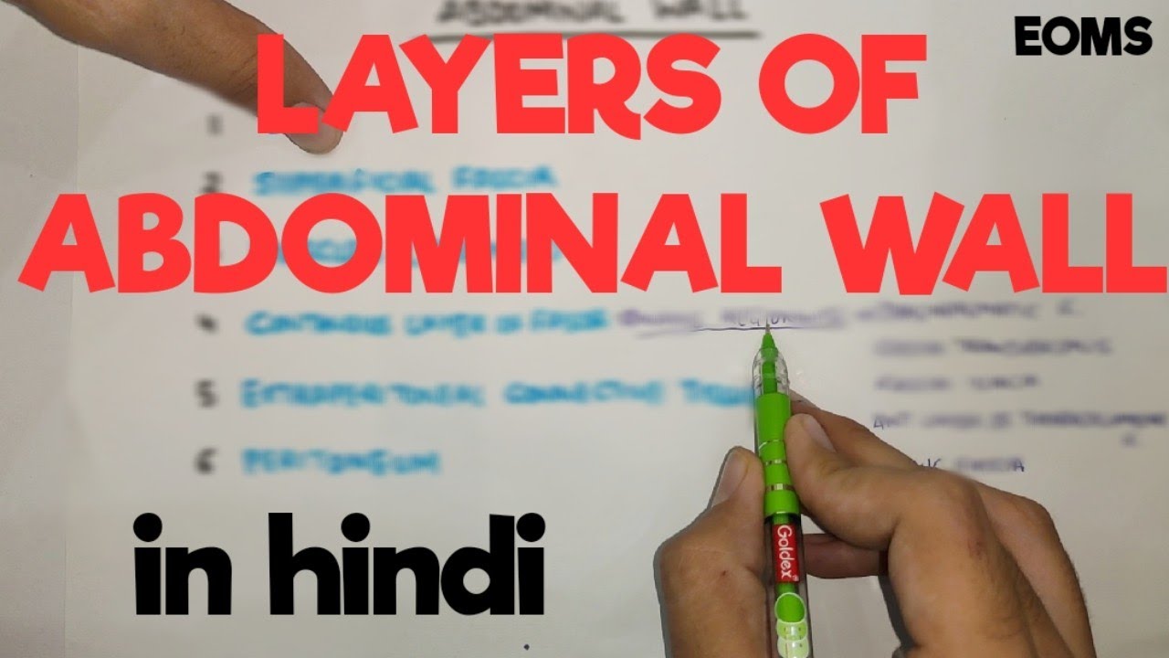 Layers of Abdominal Wall | Abdominal Wall Layers | General Abdomen