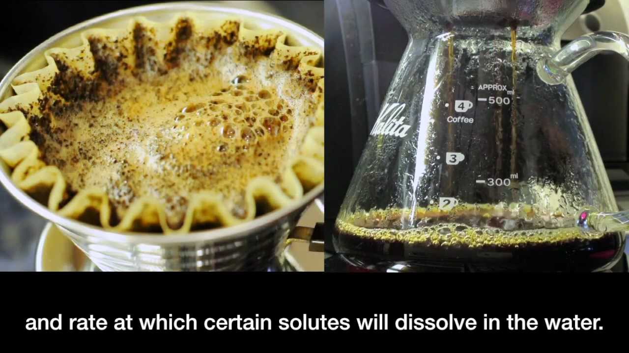 Kalita Wave Coffee Brewing : Intensive
