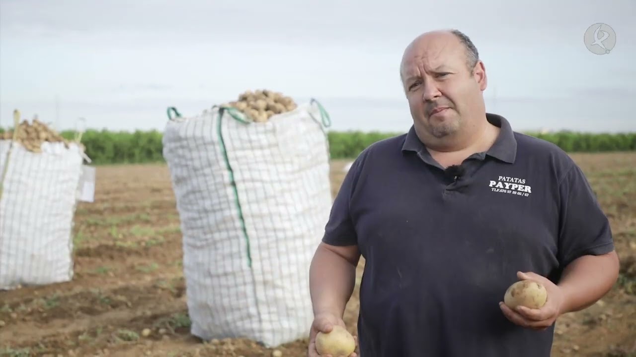 El proceso que sigue la patata del campo al super | La Besana en Verde