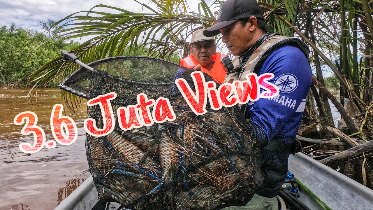 Aku, Dia Dan Udang Galah - Test joran baru #Prawnfishing #shrimpfishing #bullzenrod