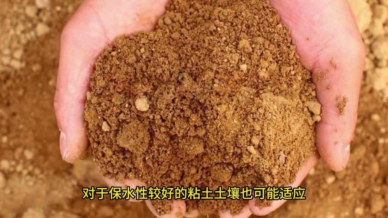 地球上的泥土是如何形成的？